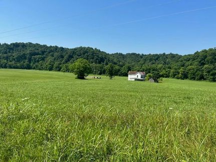 Undeveloped Land for sale in Cumberland County, Kentucky