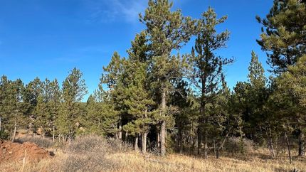 Farm and Ranch for sale in Custer County, South Dakota