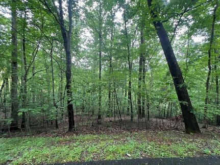 Land for sale in Clay County, North Carolina