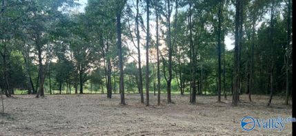 Recreational Property for sale in Lawrence County, Alabama