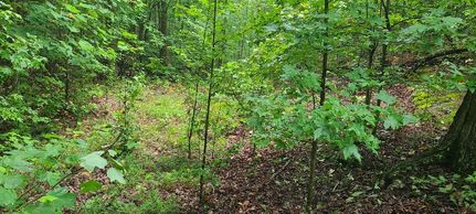 Farm and Ranch for sale in Grundy County, Tennessee