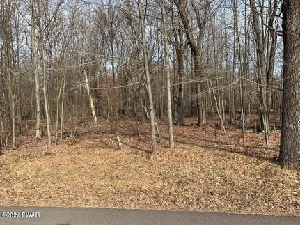 Land for sale in Wayne County, Pennsylvania