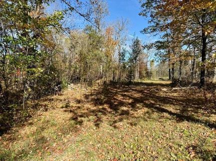 Timberland Property for sale in Beltrami County, Minnesota
