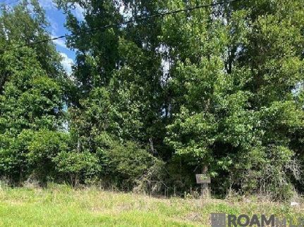 Recreational Property for sale in Livingston Parish, Louisiana