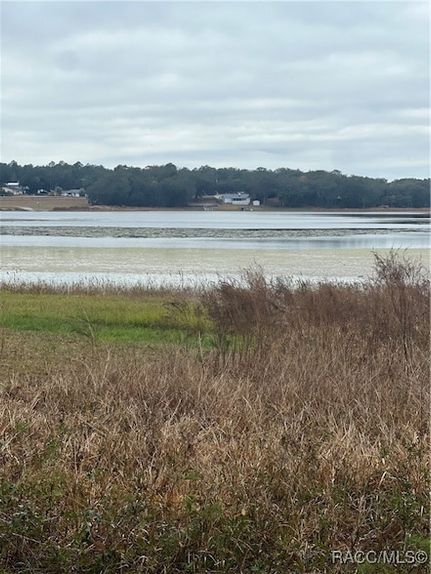 Lakefront Property for sale in Marion County, Florida