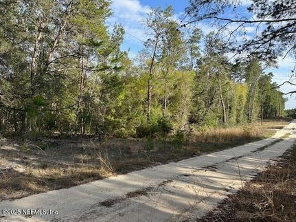 Land for sale in Putnam County, Florida