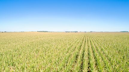 Land for sale in Sac County, Iowa