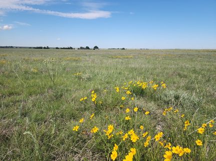 Hunting Property for sale in Elbert County, Colorado