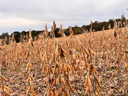 Land for sale in Hardin County, Illinois