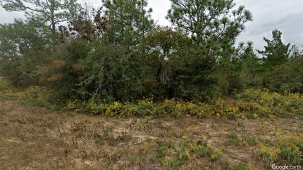 Land for sale in Washington County, Florida