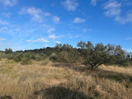 Undeveloped Land for sale in McCulloch County, Texas