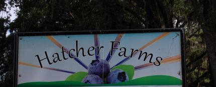 Land for sale in Alachua County, Florida