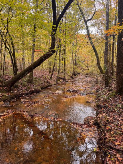 Recreational Property for sale in Franklin County, Alabama