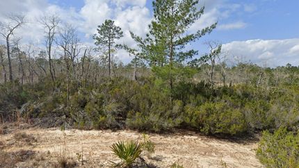 Homesite for sale in Putnam County, Florida