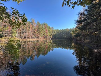 Hunting Property for sale in Clarke County, Mississippi