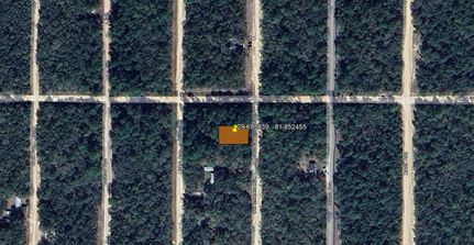Land for sale in Putnam County, Florida