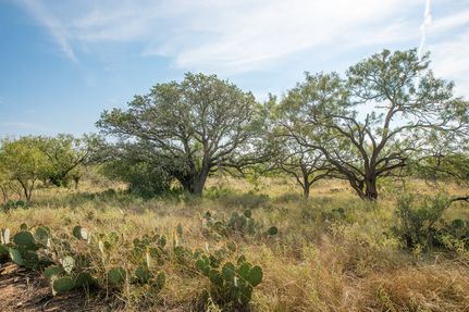 Land for sale in McCulloch County, Texas