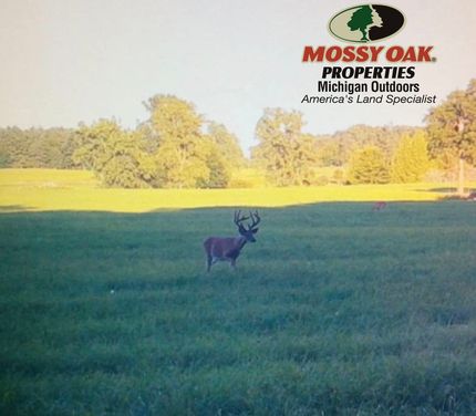 Farm and Ranch in Shiawassee County, Michigan