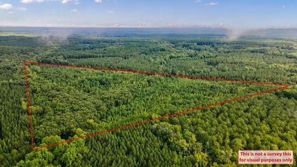 Timberland Property for sale in Warren County, Georgia