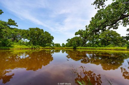 Land for sale in Jack County, Texas