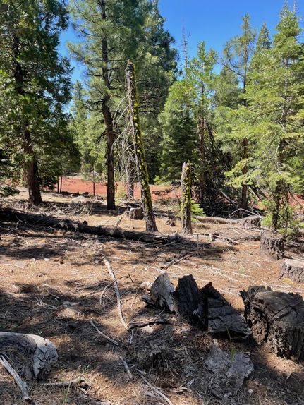 Recreational Property for sale in Modoc County, California