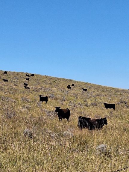 Land for sale in Yuma County, Colorado