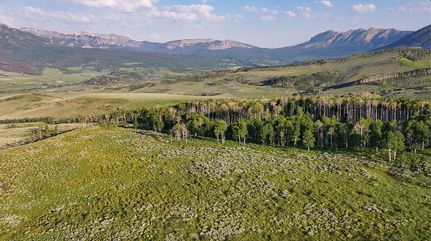 Timberland Property in Gunnison County, Colorado