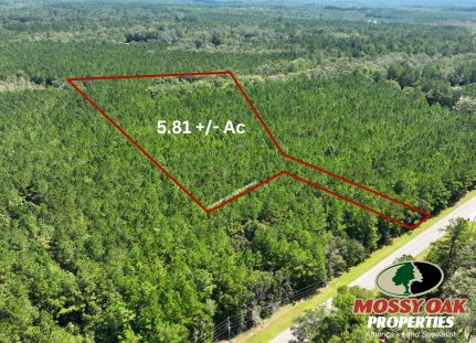 Undeveloped Land for sale in Camden County, Georgia
