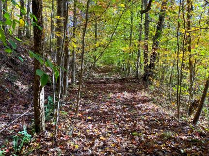 Timberland Property for sale in Scott County, Tennessee