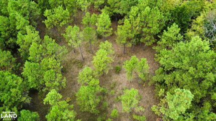 Timberland Property for sale in Alcorn County, Mississippi