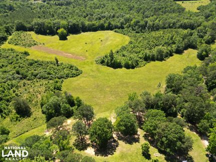 Farm and Ranch for sale in Dallas County, Alabama