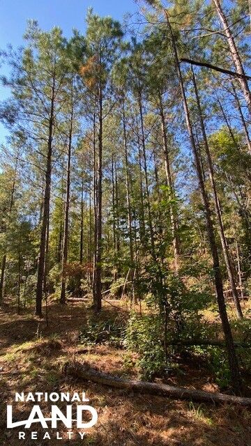 Farm and Ranch for sale in Mobile County, Alabama