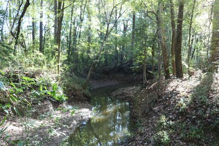 Farm and Ranch for sale in Sabine County, Texas