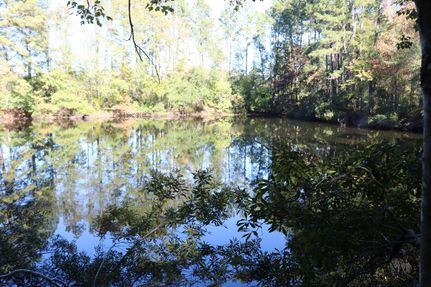 Undeveloped Land for sale in Sabine County, Texas