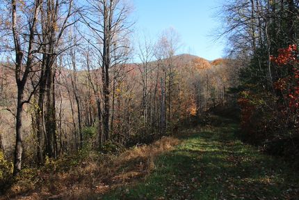 Land for sale in Page County, Virginia