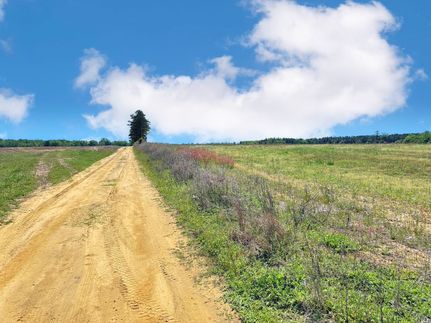 Land for sale in Marlboro County, South Carolina