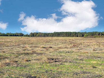 Farm and Ranch for sale in Marlboro County, South Carolina