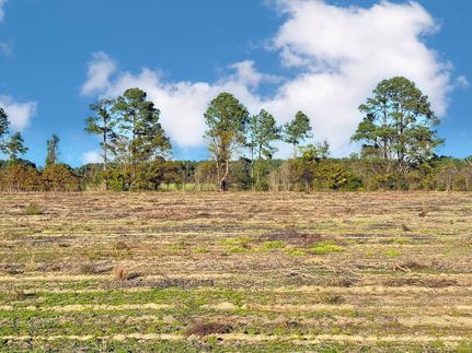 Farm and Ranch for sale in Marlboro County, South Carolina