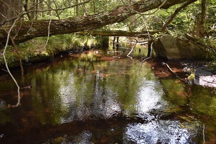 Land for sale in Florence County, Wisconsin