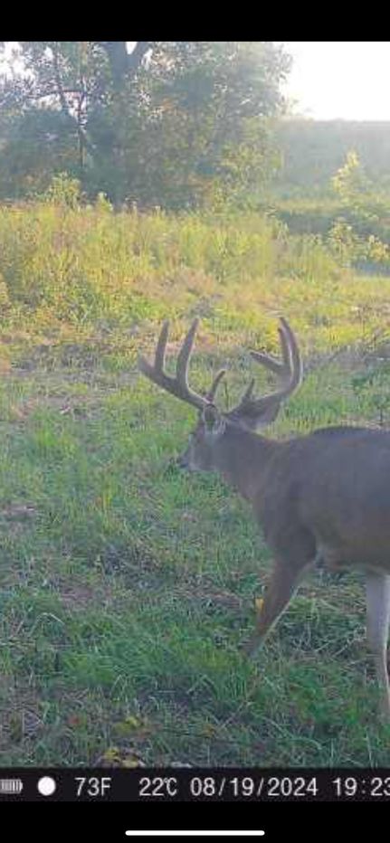 Timberland Property in Decatur County, Iowa