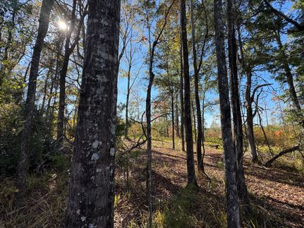 Undeveloped Land for sale in Tallapoosa County, Alabama