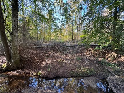 Land for sale in Tallapoosa County, Alabama
