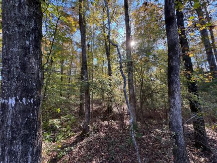 Undeveloped Land for sale in Tallapoosa County, Alabama