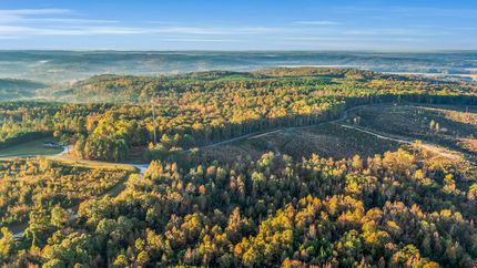 Farm and Ranch for sale in Marion County, Alabama