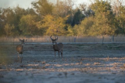 Recreational Property for sale in Reno County, Kansas