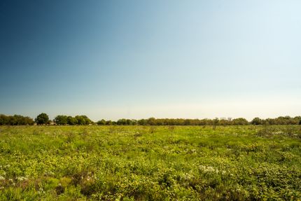 Recreational Property in Fannin County, Texas