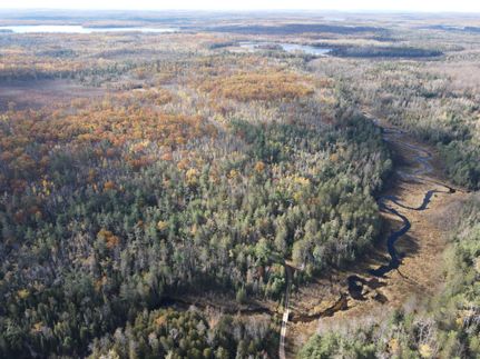 Land for sale in Montmorency County, Michigan