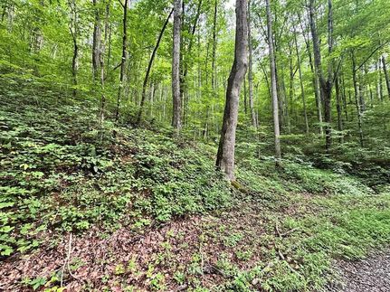 Land for sale in Clay County, North Carolina