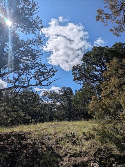 Land for sale in Saguache County, Colorado