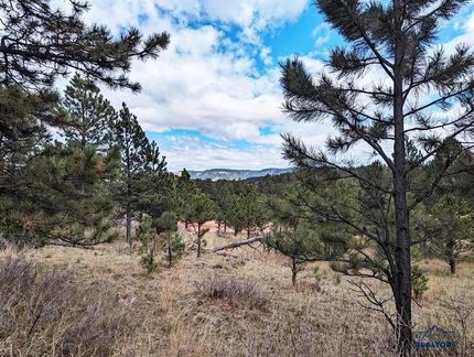 Farm and Ranch for sale in Custer County, South Dakota